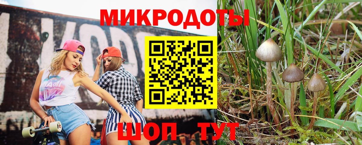 даркнет сайт  Галлюциногенные грибы ЛСД  Вход с VPN  Кириши 