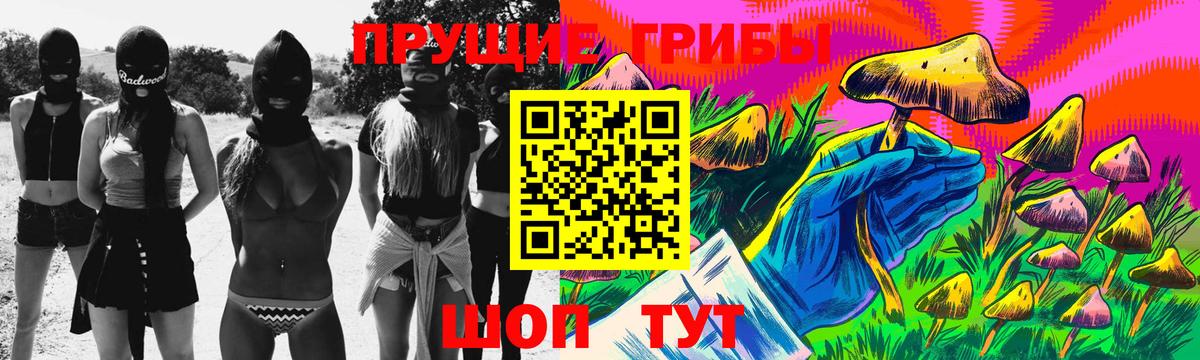 APVP Кириши
